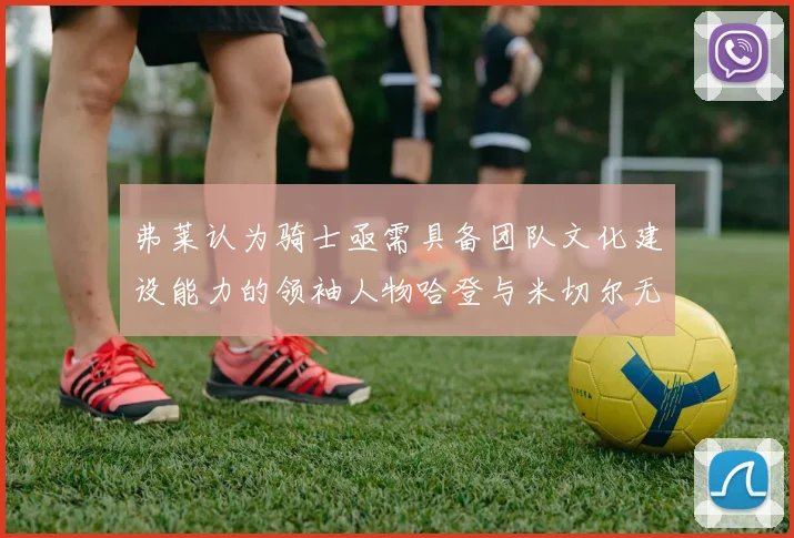 弗莱认为骑士亟需具备团队文化建设能力的领袖人物哈登与米切尔无法胜任